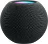 Apple HomePod mini - Spacegrijs