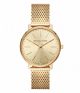 Horloge  Michael Kors Goud PYPER 