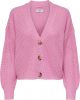 ONLY ONLCAROL NICE L/S CARDIGAN KNT NOOS Dames - Maat L